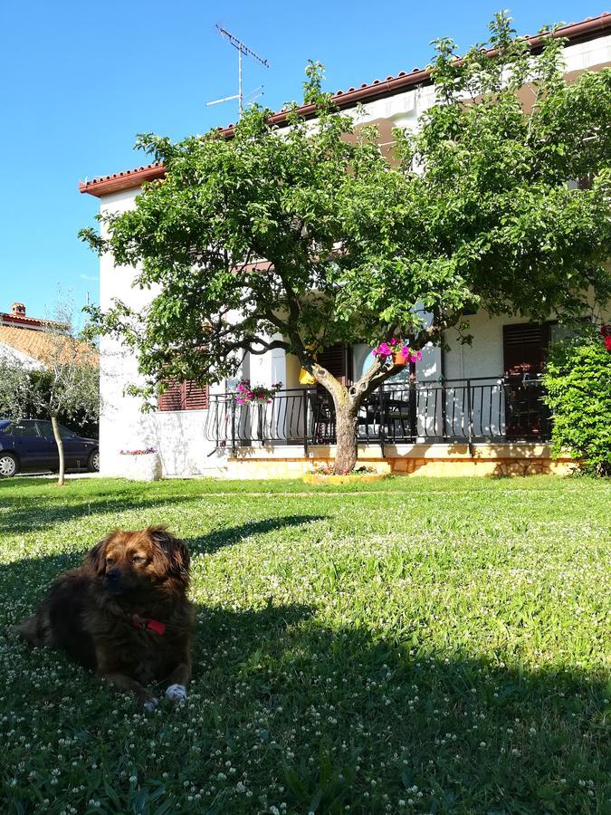Villa Nina Poreč Extérieur photo